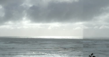 west coast