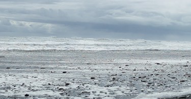 LAGOON