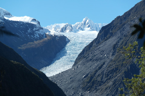 FOX GLACIER