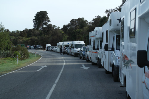 haast pass closed