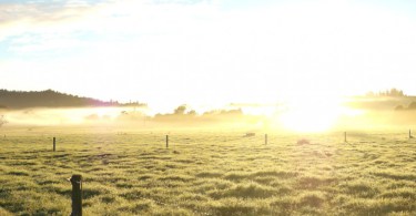 Motueka