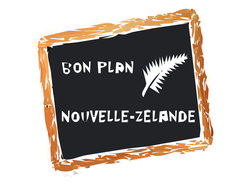 bon plan NZ.jpg
