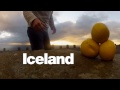 asgeir trausti nyfallid regn
